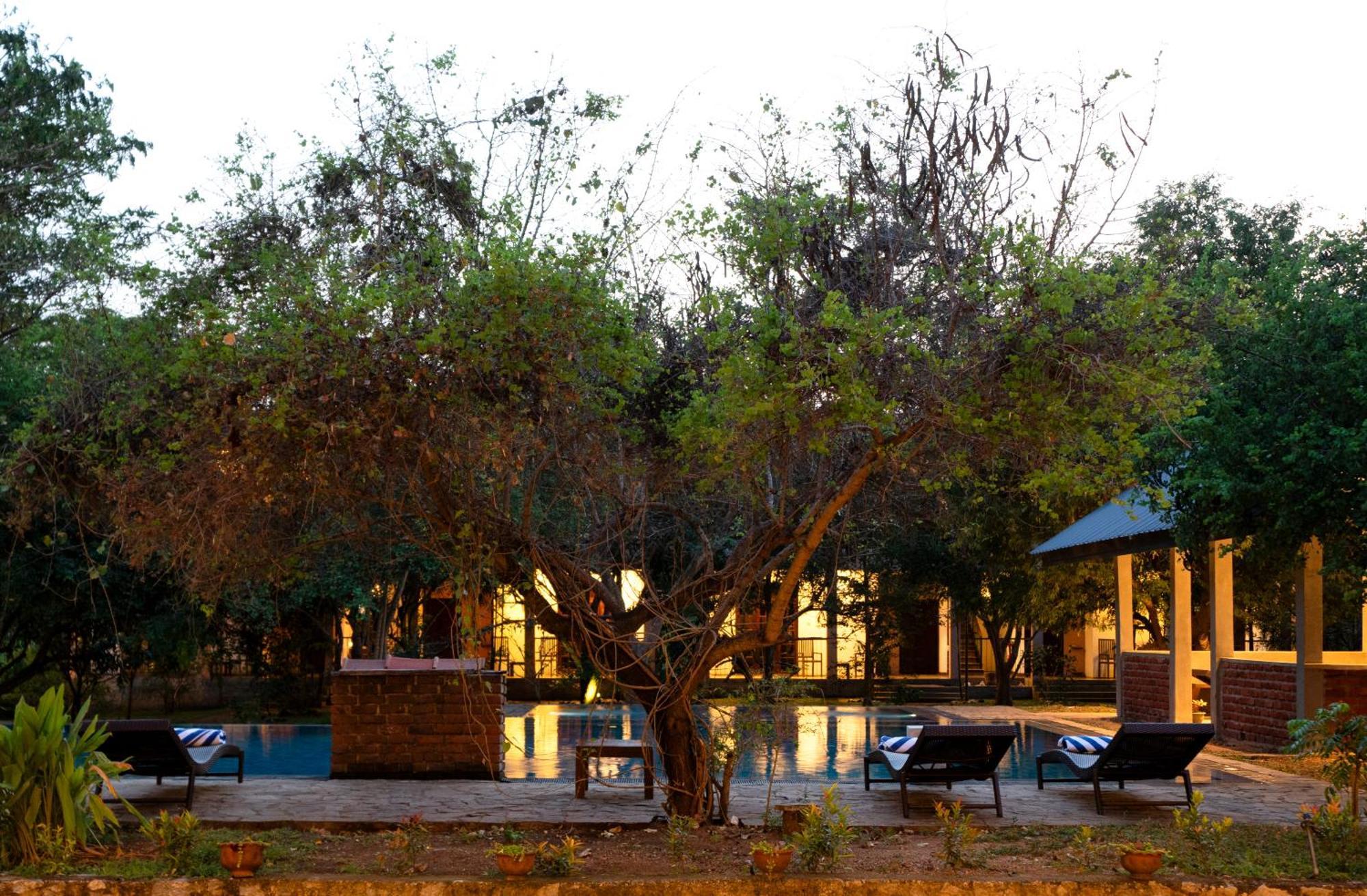 Lario Resort Sigiriya Eksteriør bilde